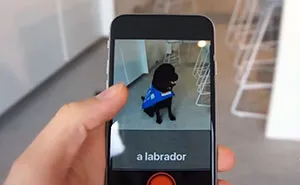 This App Lets Blind People "See"