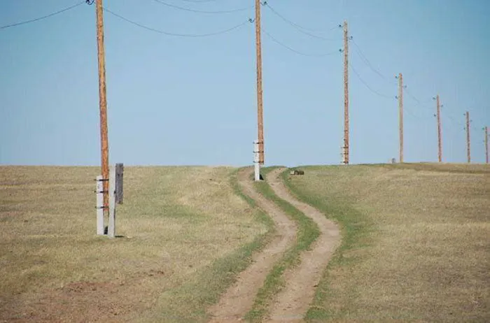 Nobody Will Go In Between These Two Paths Anyway