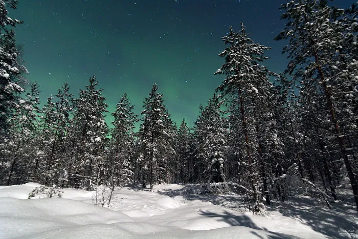 Moonlight Auroras