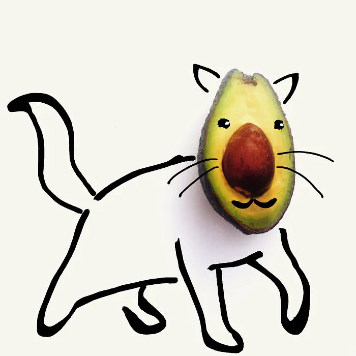 Avo Cat O