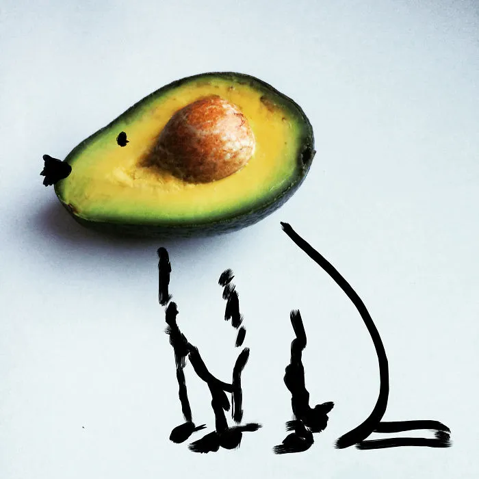 Avoca Dog