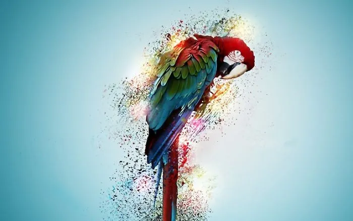 Best Art Work