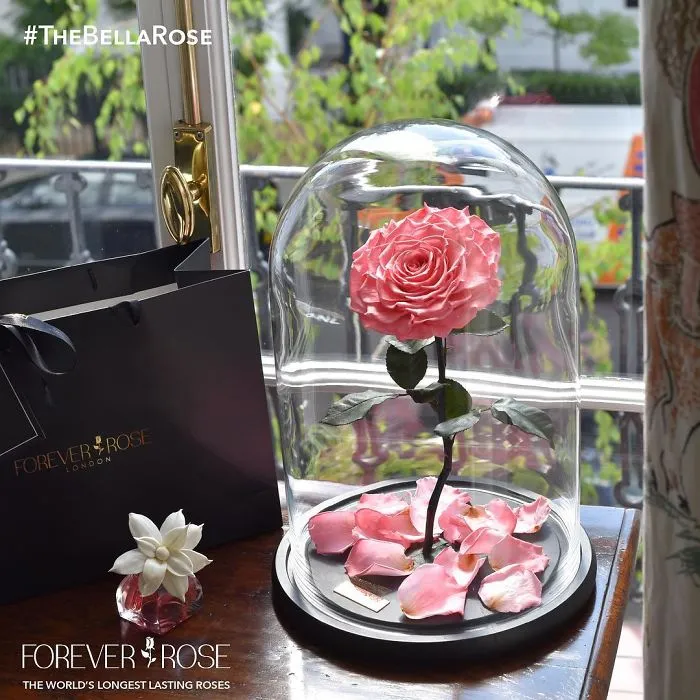 Real "Beauty And The Beast" Roses Exist, And They'll Last For 3 Years