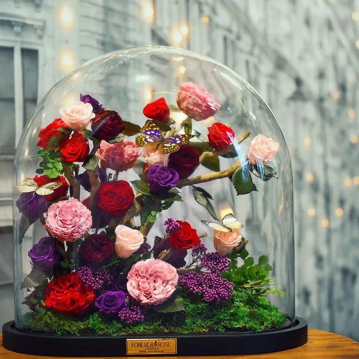 Existen de verdad las rosas como la de "La Bella y la Bestia", y duran 3 años