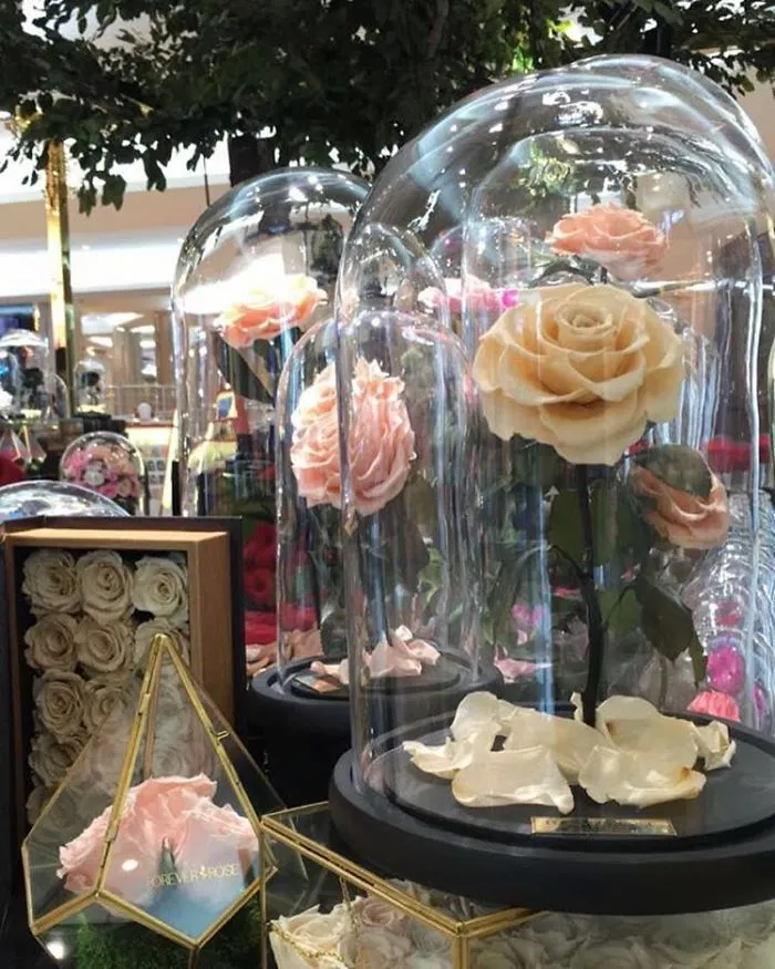 Real "Beauty And The Beast" Roses Exist, And They'll Last For 3 Years