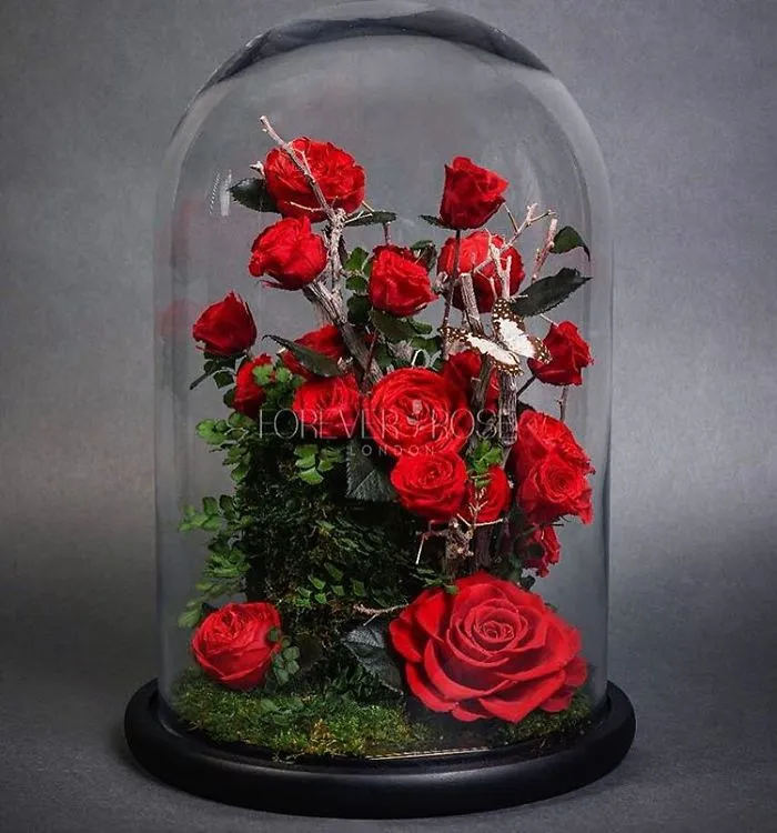 Real "Beauty And The Beast" Roses Exist, And They'll Last For 3 Years