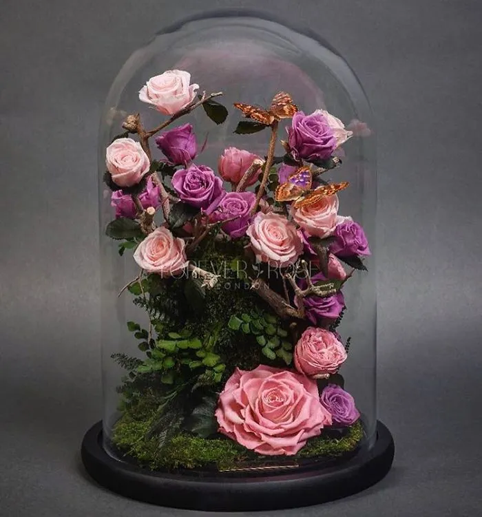 Real "Beauty And The Beast" Roses Exist, And They'll Last For 3 Years