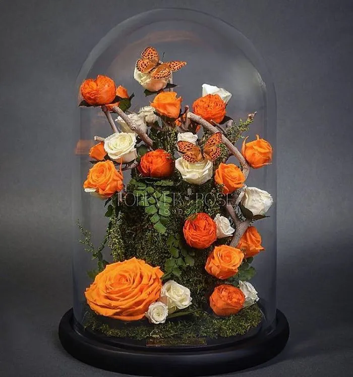 Real "Beauty And The Beast" Roses Exist, And They'll Last For 3 Years