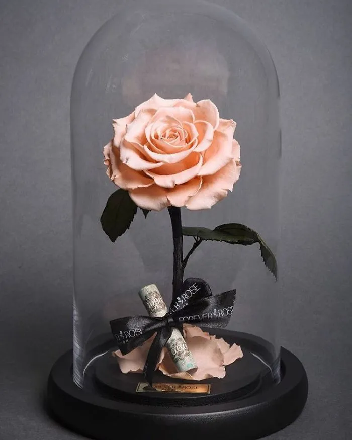 Existen de verdad las rosas como la de "La Bella y la Bestia", y duran 3 años