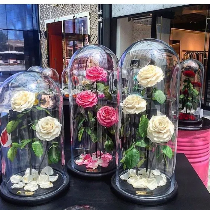 Real "Beauty And The Beast" Roses Exist, And They'll Last For 3 Years