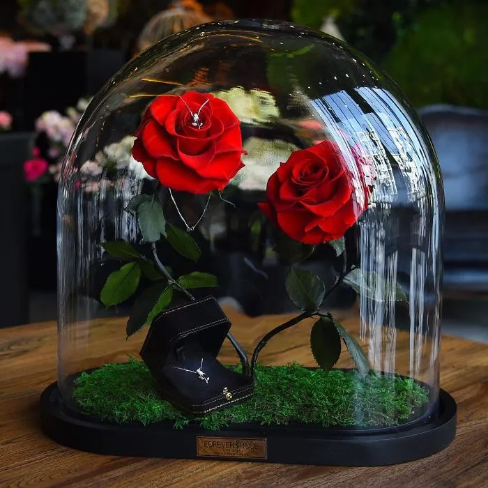 Existen de verdad las rosas como la de "La Bella y la Bestia", y duran 3 años