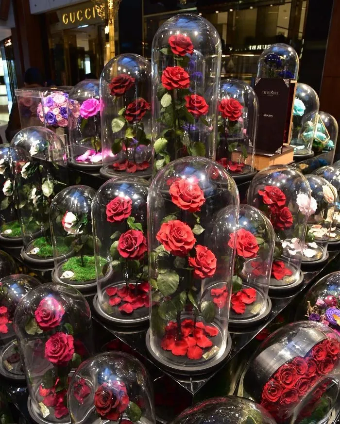 Existen de verdad las rosas como la de "La Bella y la Bestia", y duran 3 años
