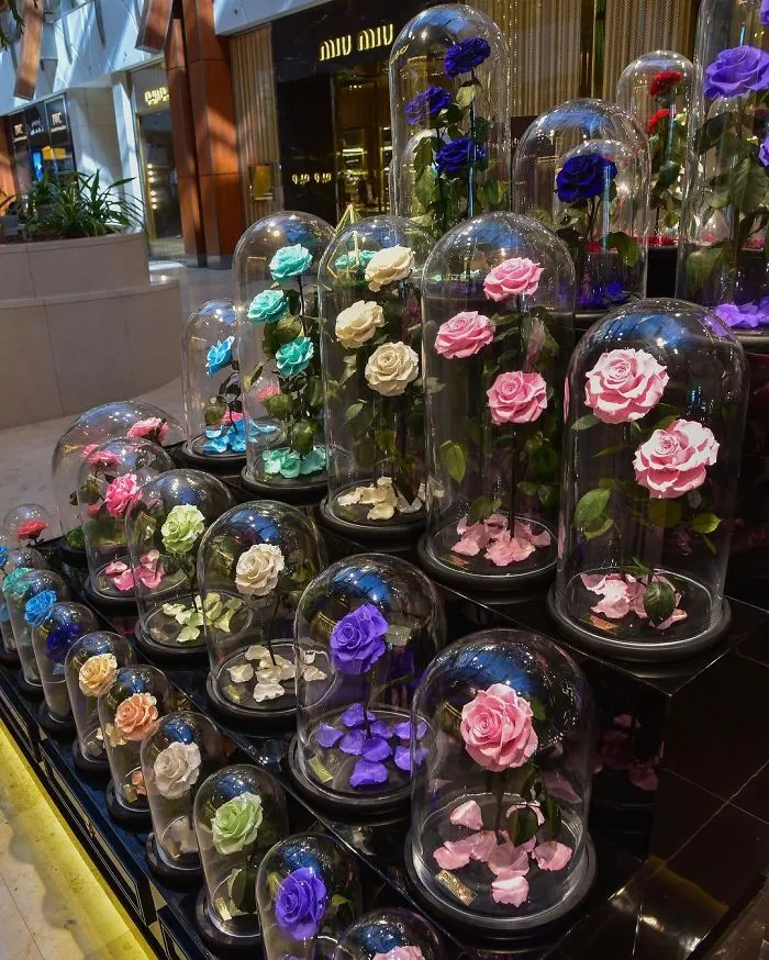 Real "Beauty And The Beast" Roses Exist, And They'll Last For 3 Years