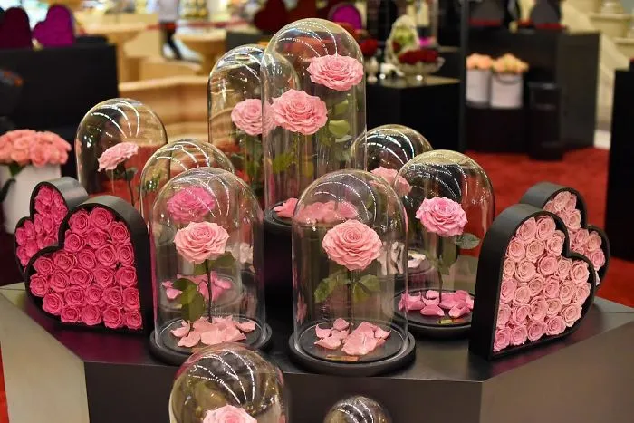 Real "Beauty And The Beast" Roses Exist, And They'll Last For 3 Years