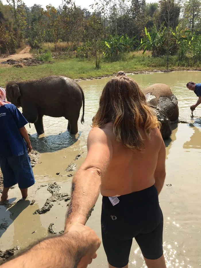 Making New Friends At The Pool. This Was An Elephant Sanctuary That Saved These Magical Beasts From Horrible Treatment And Conditions