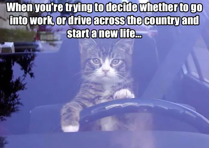 Midlife Crisis Mode On