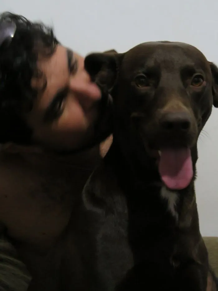 175 Of The Most Adorable Animal Mlems" Ever"