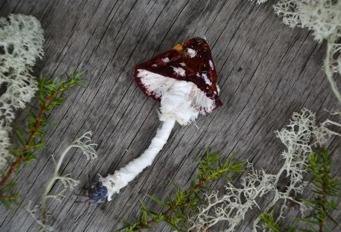 I Found Amazing Thread Painted Animals On Brooches By Russian Artist