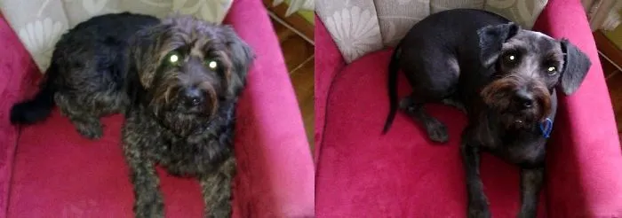 Find Differences