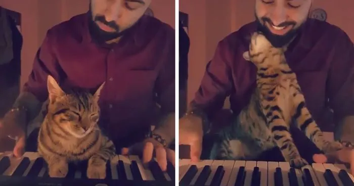 Relationship Goals