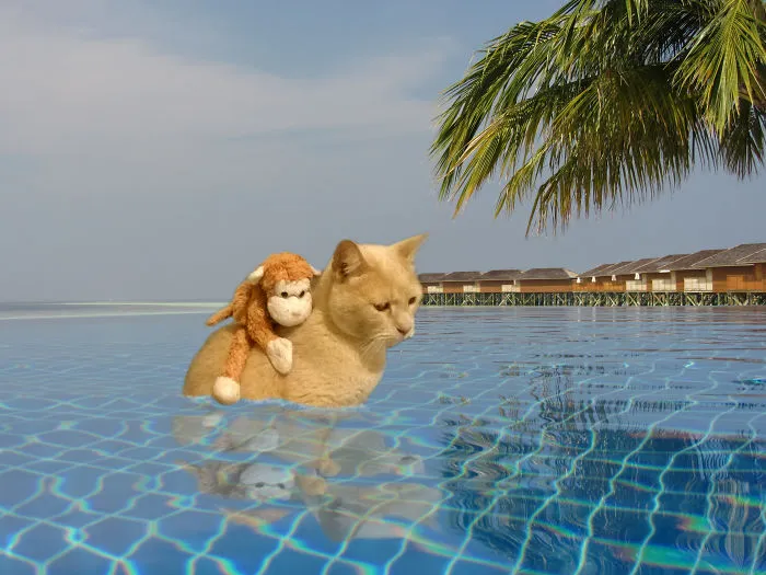 A Bit Of Freshness In Beautiful Maldives Islands