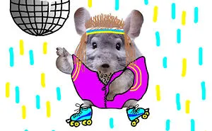 Drawing Challenge: Spice Up This Chinchilla's Life