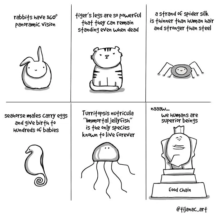 I Cope With My Everyday Problems By Drawing Comics (21 Pics)