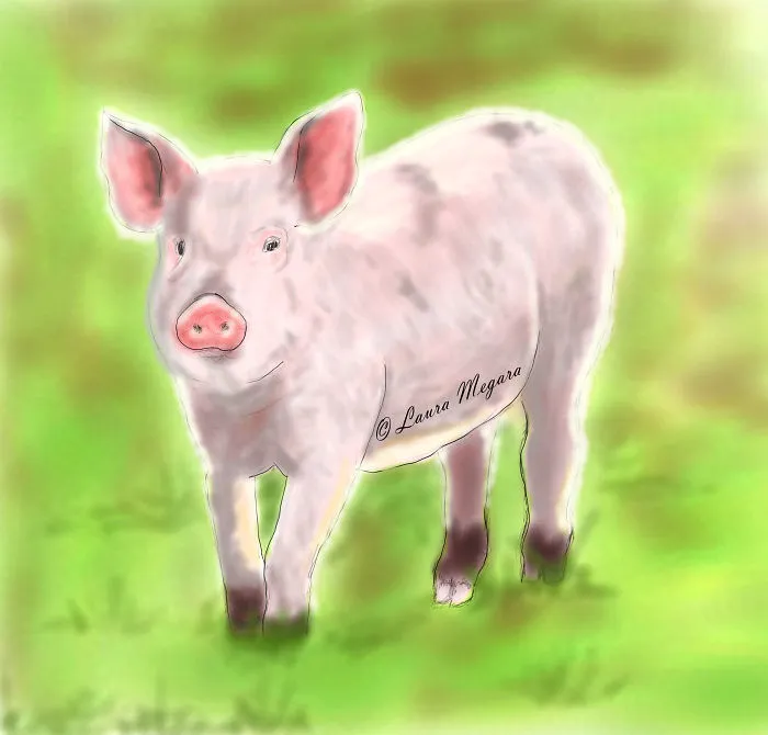 I Try To Draw Something Every Day