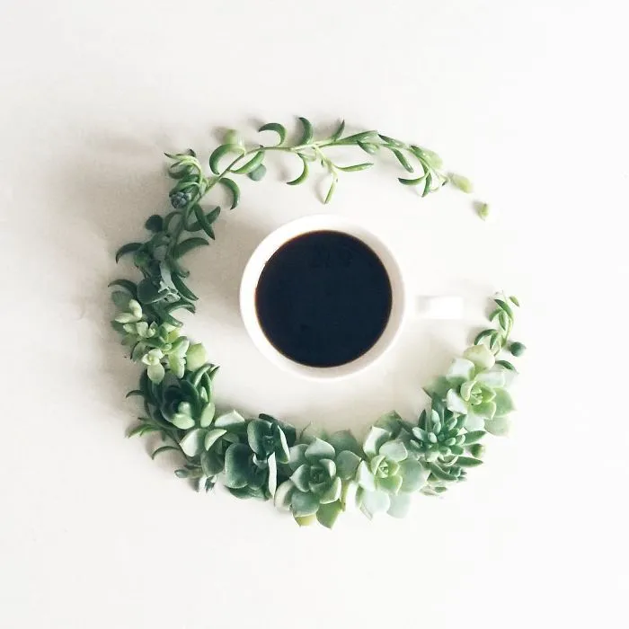 Japanese Artist Creates A Unique Visual Diary While Having Her Coffee