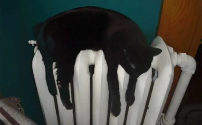 I'm Melting!