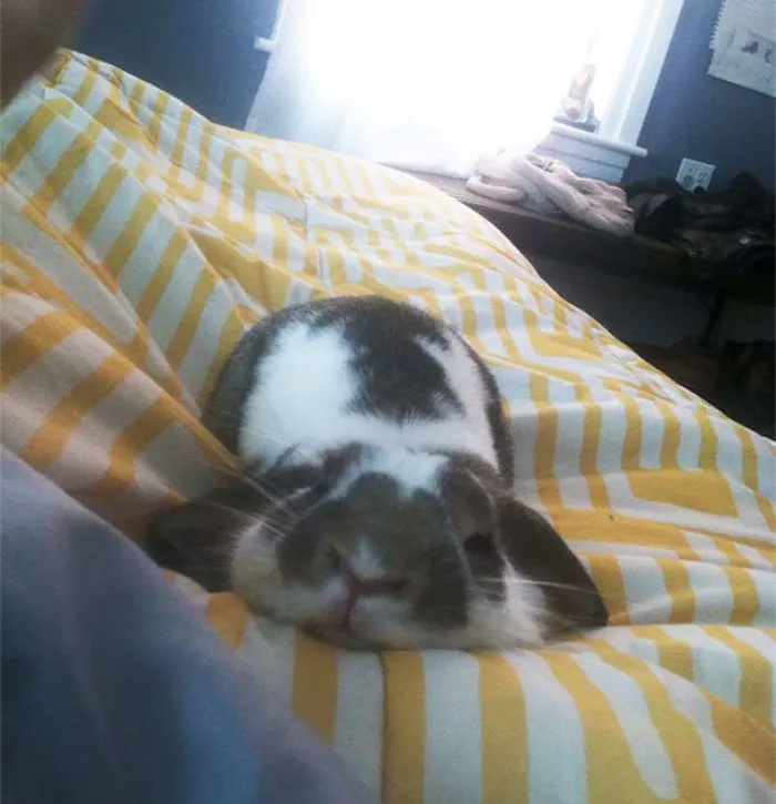 Help, I've Melted