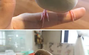 154 Animals That Just Melted (Our Hearts)