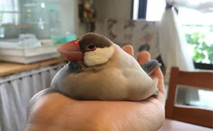 154 Animals That Just Melted (Our Hearts)
