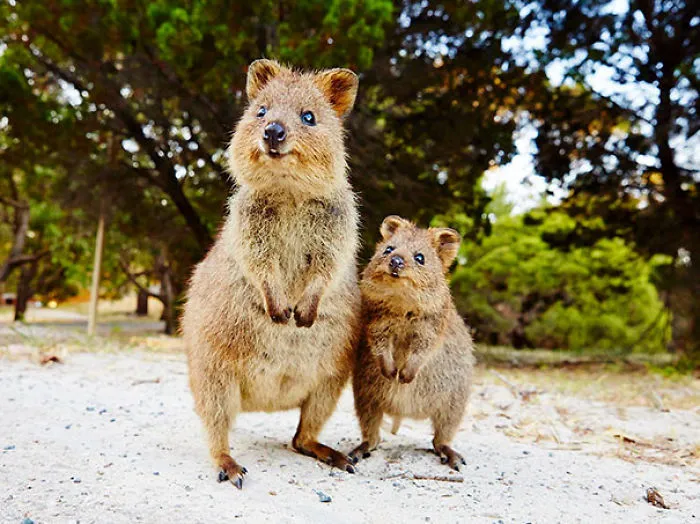 Madre e hijo