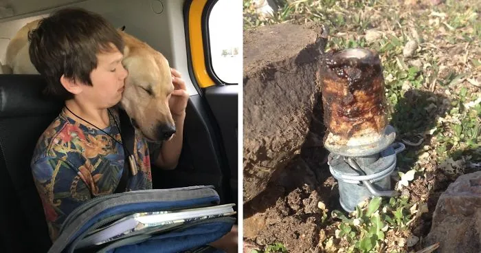 A Tool Planted By The US Government Just Killed This Family’s Dog – And It Could Have Killed Their Son