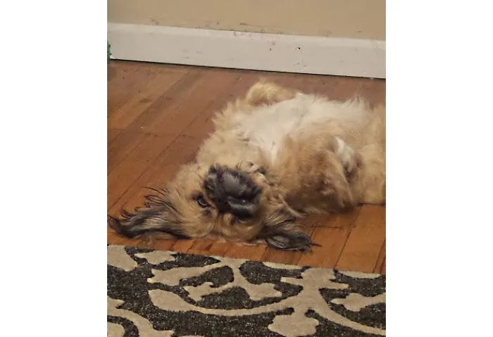 Belly Up
