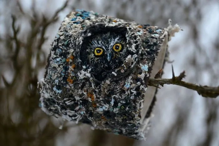 I Found Amazing Thread Painted Animals On Brooches By Russian Artist