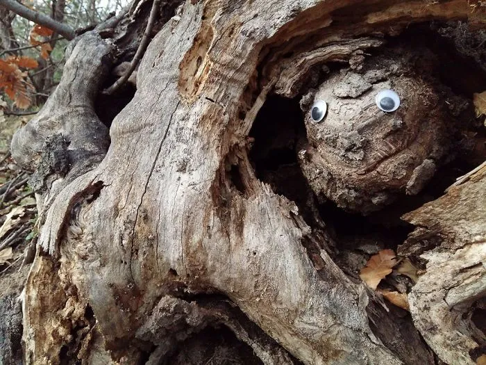 I Bring Bulgarian Streets To Life By Putting Googly Eyes On Random Objects