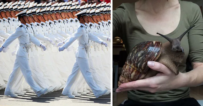 10+ Fotos increíbles que cuesta creer que no tengan Photoshop