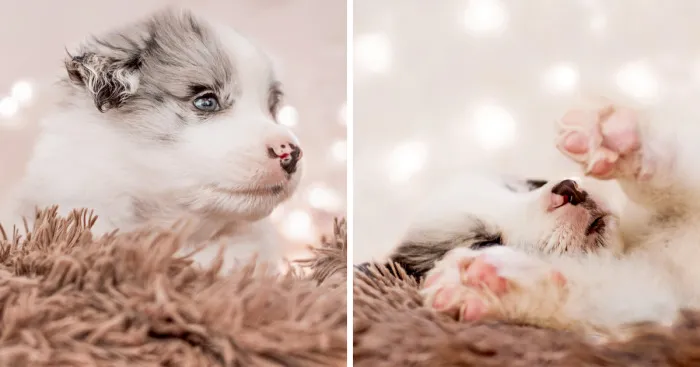 I Took Some Photos Or Adorable Babies With Little Paws
