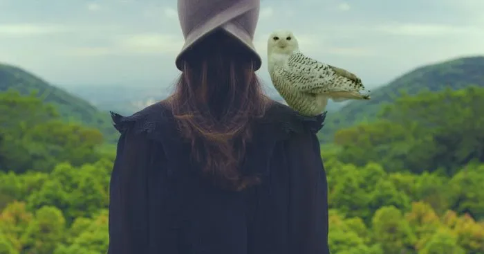 Xia Geer Photography