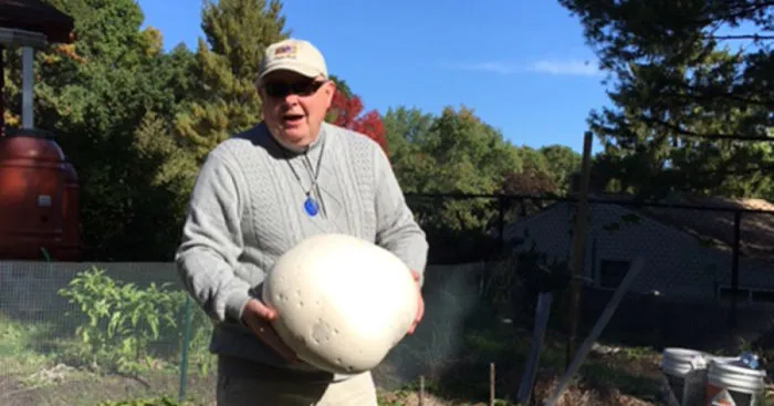 Biggest Mushroom Ever That Grew On Our Organic Farm
