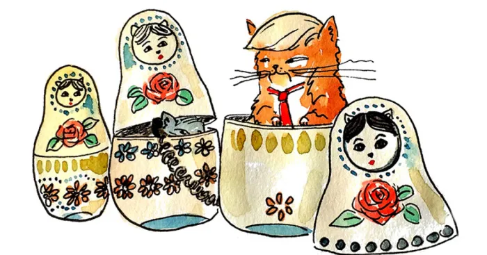 The Adventures Of President Trumpy Cat
