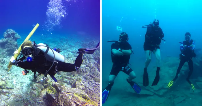 This Is Why We Dive
