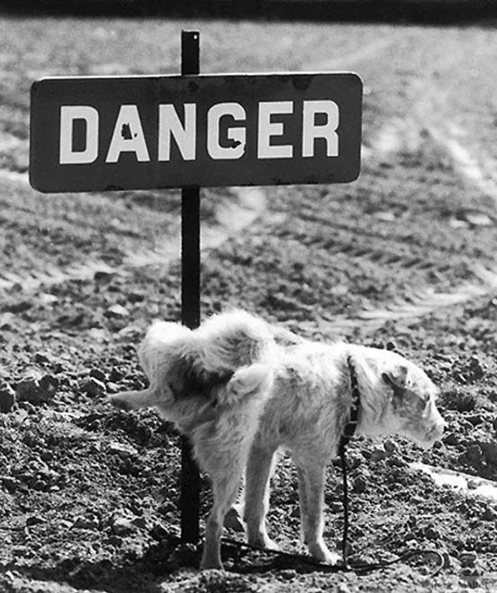 68 Humorous Street Photos From 1950s France By René Maltête