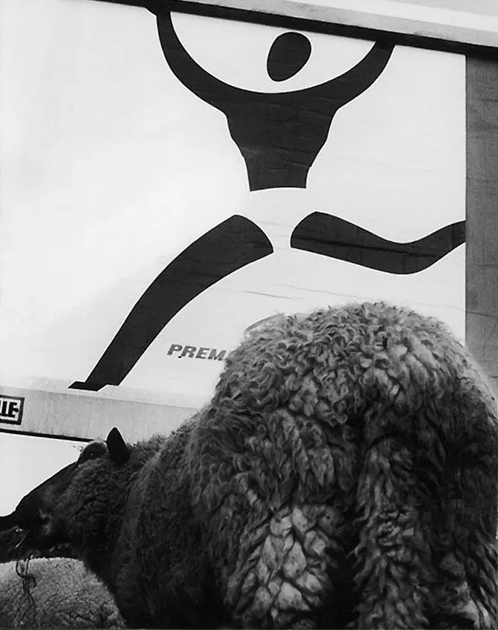 68 Humorous Street Photos From 1950s France By René Maltête