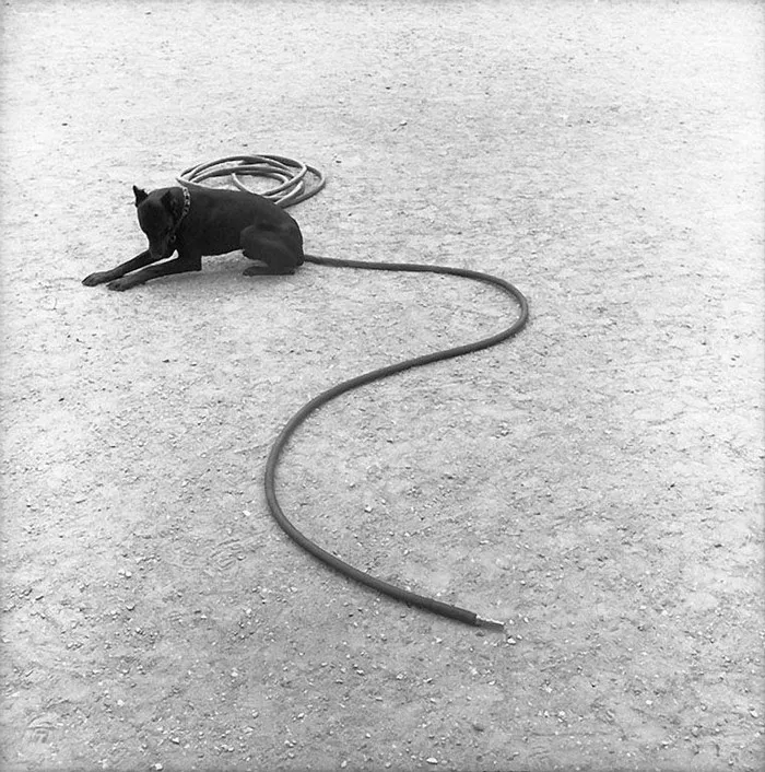 68 Humorous Street Photos From 1950s France By René Maltête