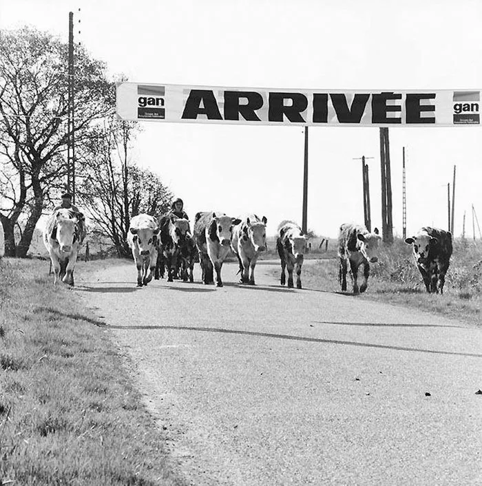68 Humorous Street Photos From 1950s France By René Maltête