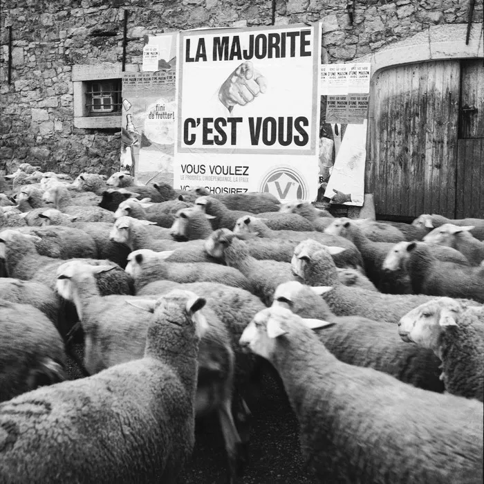 Photography By Rene Maltete