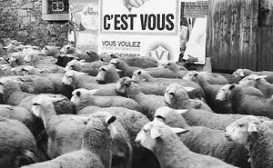 68 Humorous Street Photos From 1950s France By René Maltête